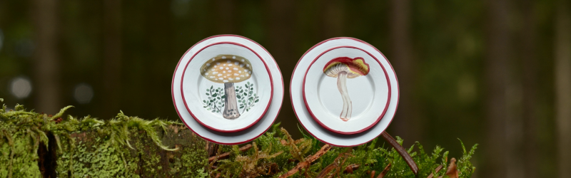 PLATES (Set of 2 And 4)